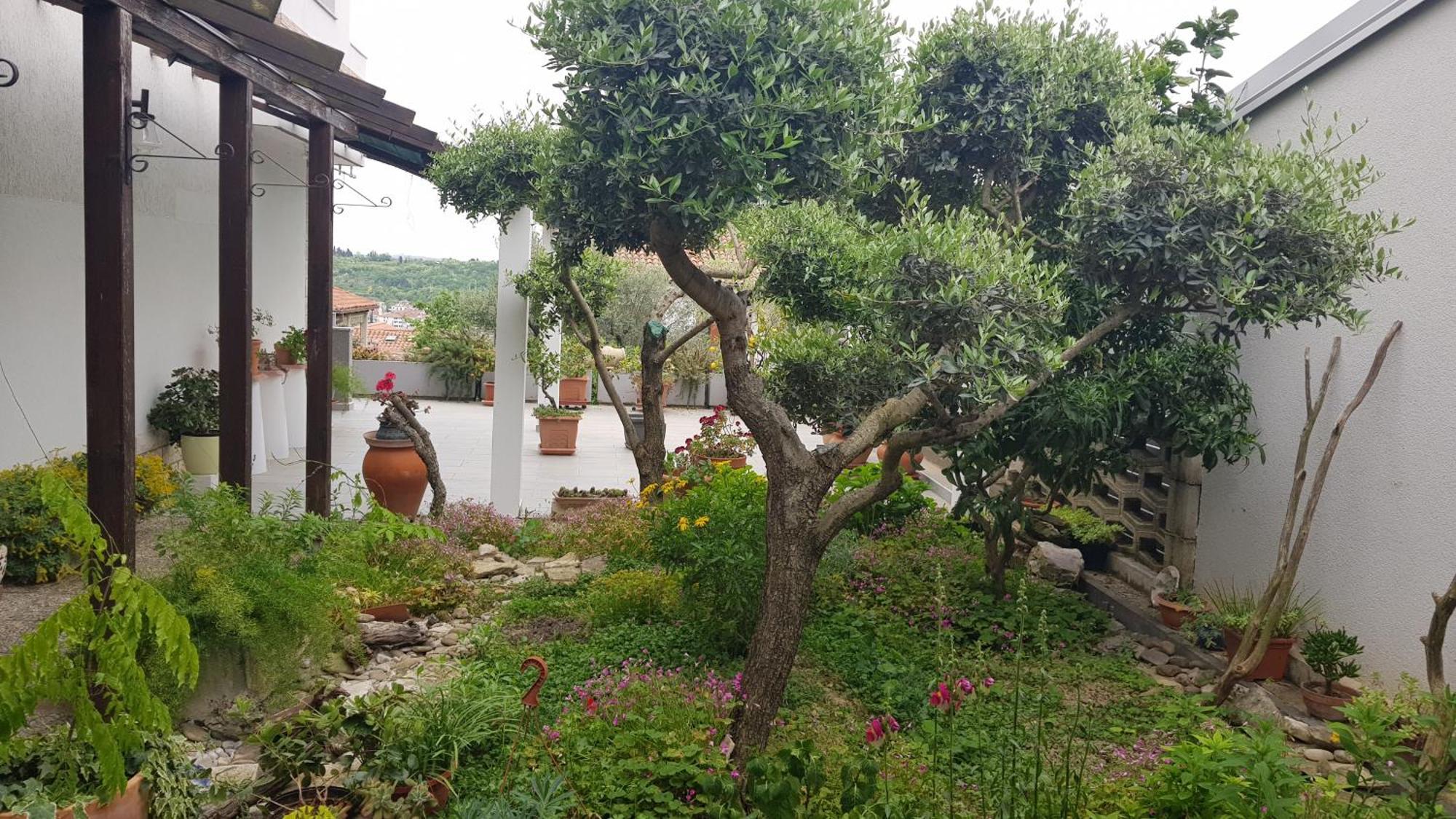 Tramontana Apartamento Lucija Exterior foto